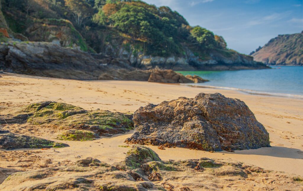 Green spaces in Salcombe