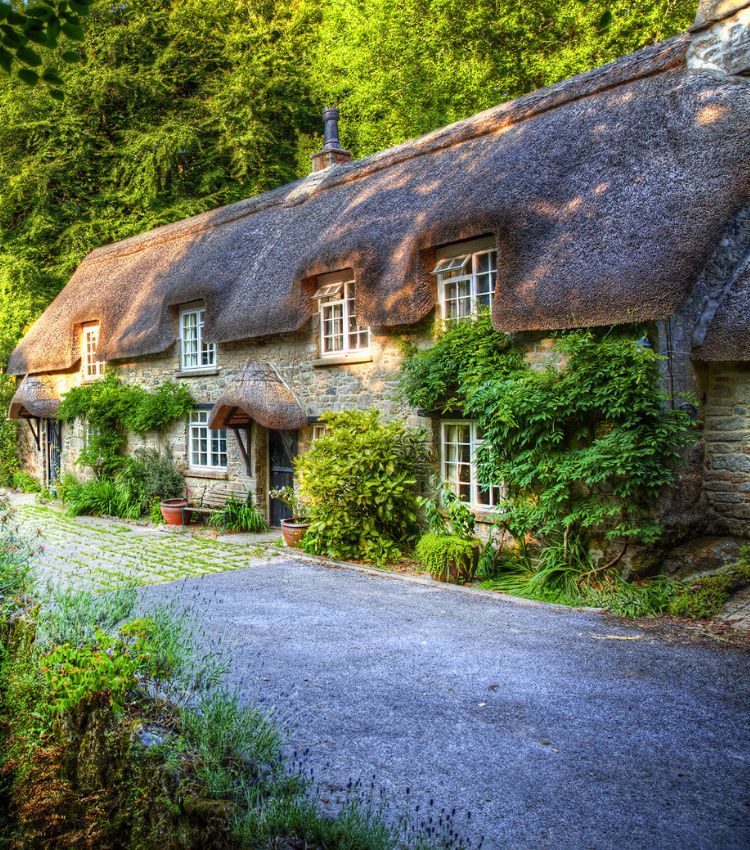 Retiring to Devon, Cottage in Dartmoor