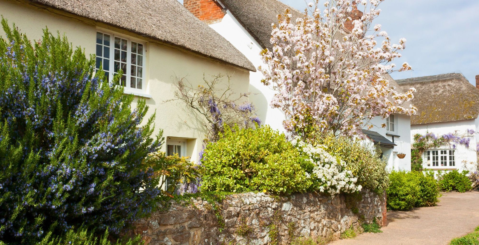 Retiring to Devon: Discovering your perfect pace of life