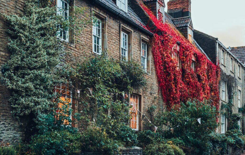 Frome, Somerset - Stone houses with colourful foliage