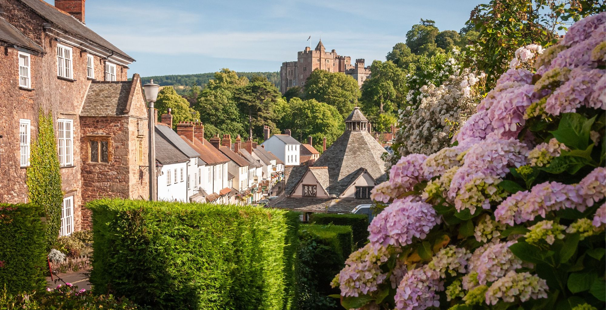Moving with family: Why Somerset is a perfect choice
