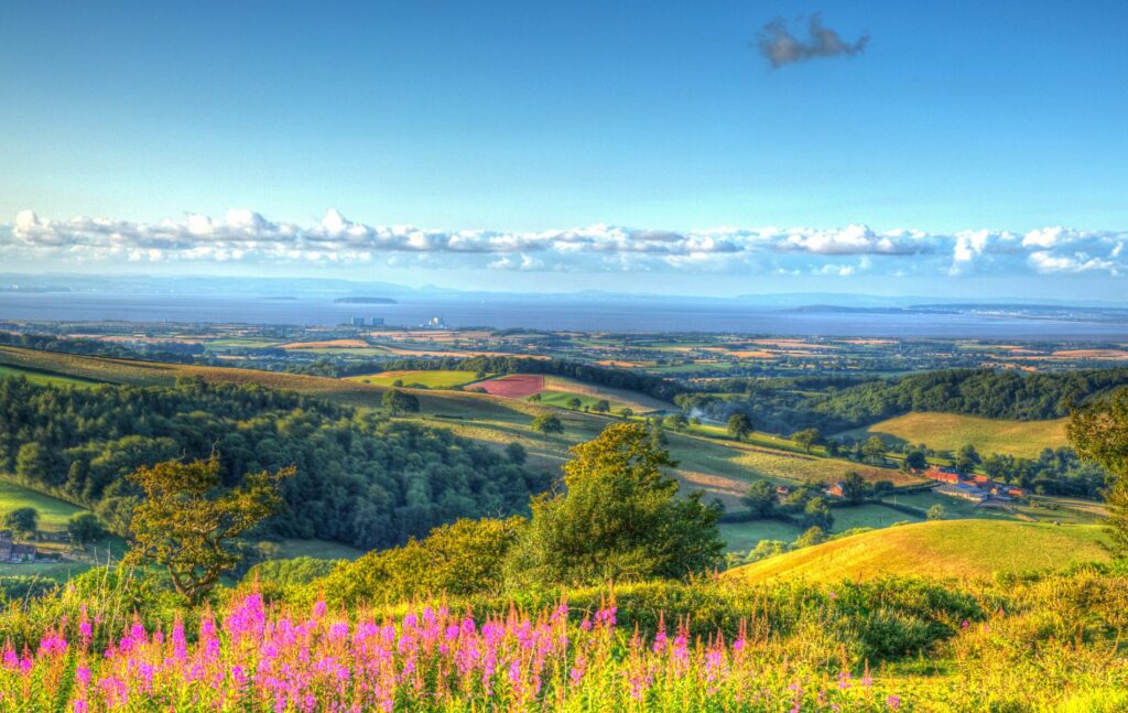 Nature and the great outdoors - Quantock Hills