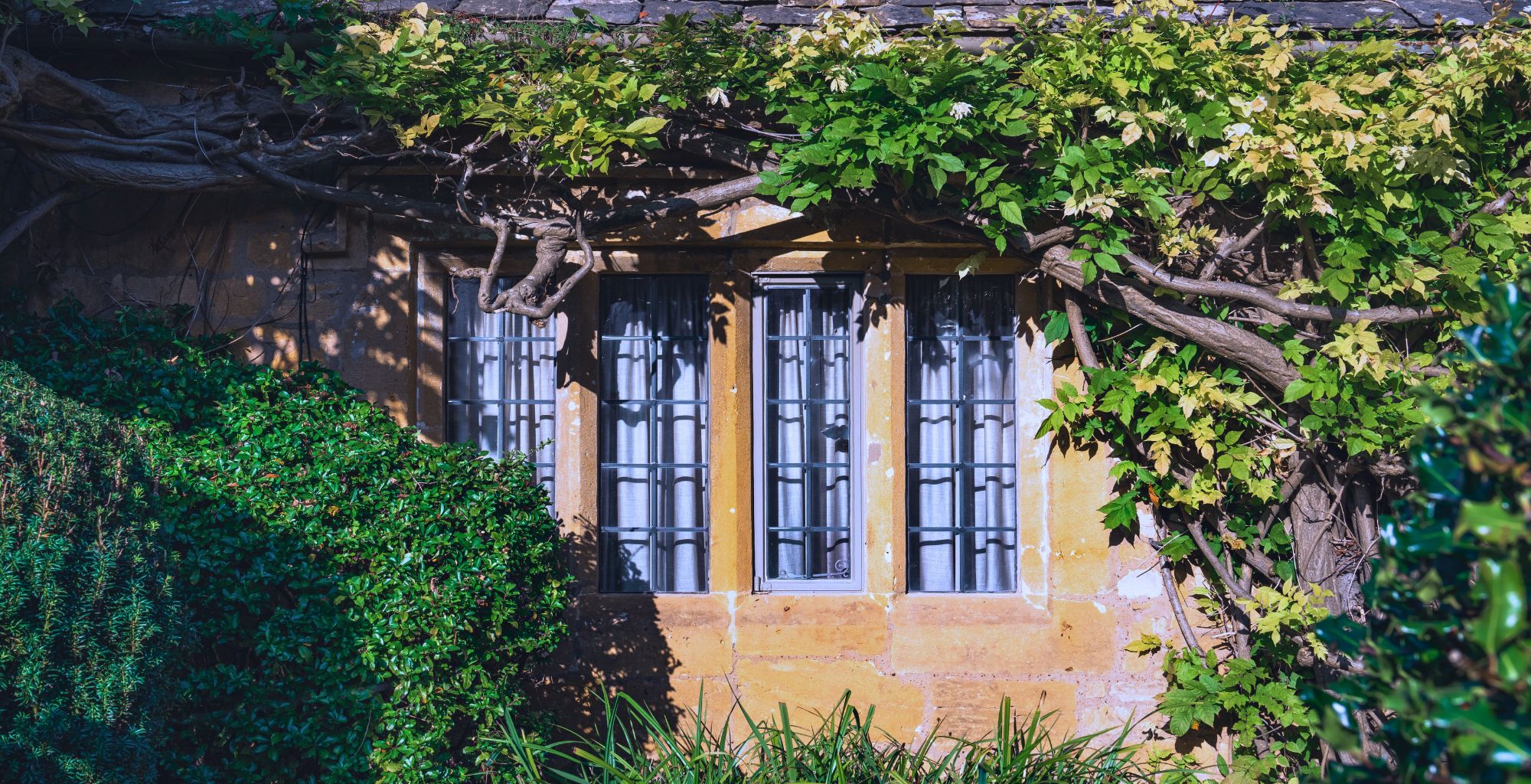 Hamstone Villages in Somerset: Style in Stone