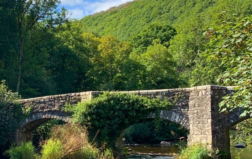Fingle Bridge Drewsteignton Dartmoor Devon