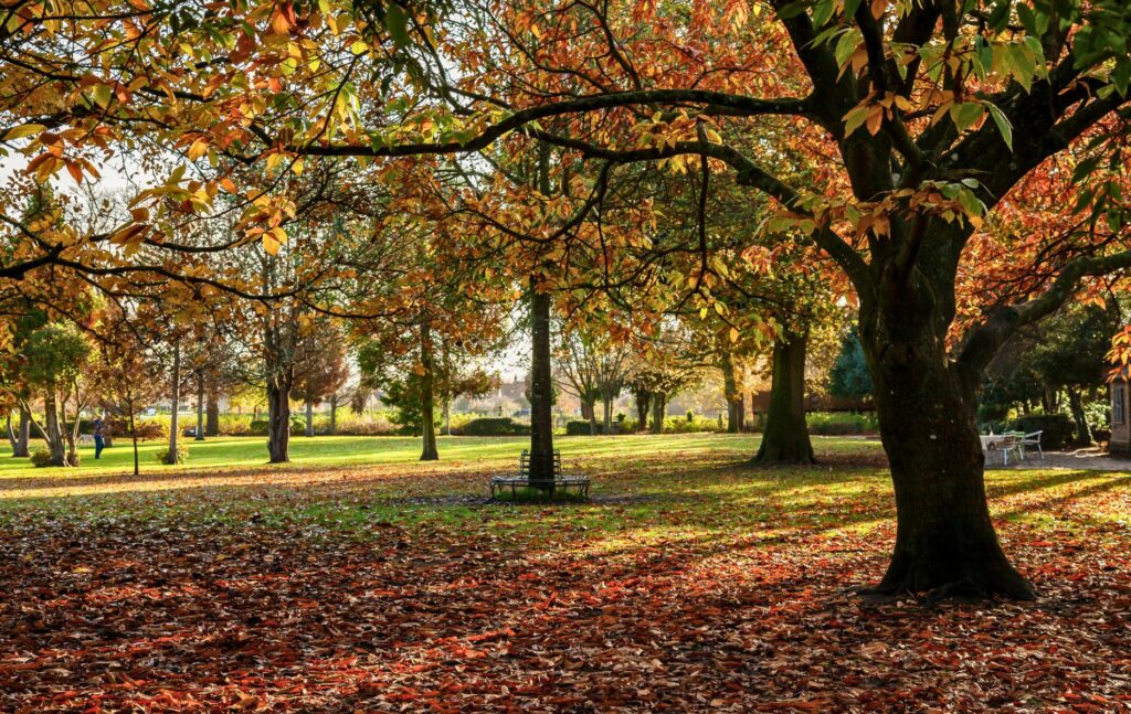 Green spaces in Frome