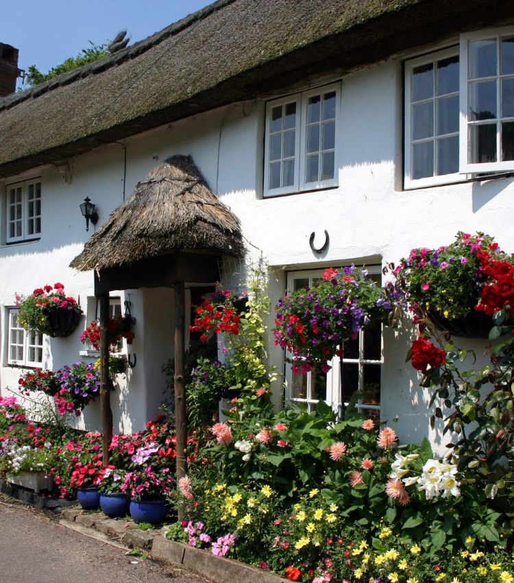 Whitewashed thatched cottages in Devon.