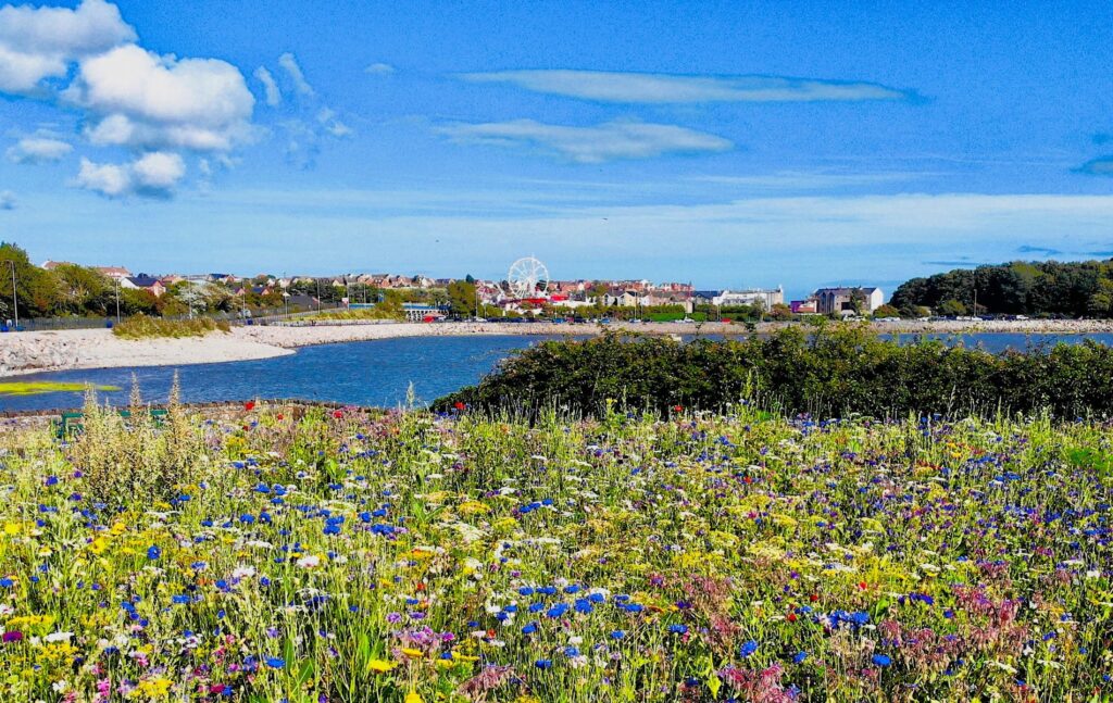 Coastal locations near Penarth, Cardiff, Barry Island