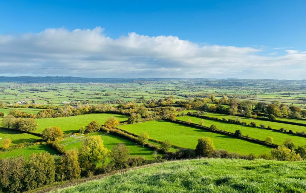 Where to live near the Independent Schools in Rural Somerset
